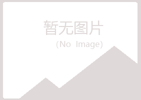 红河夏彤能源有限公司